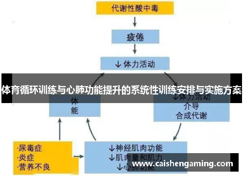 体育循环训练与心肺功能提升的系统性训练安排与实施方案